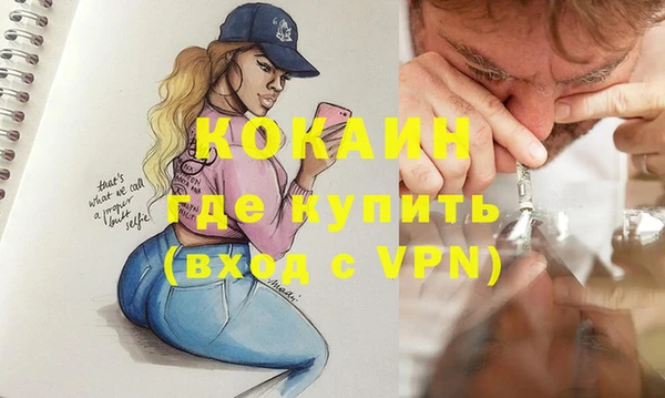 шишки Абинск