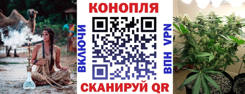 Бошки марихуана гибрид  где продают наркотики  Урень 